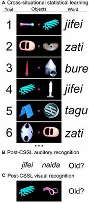 Cross-Situational Statistical Learning of New Words Despite Bilateral Hippocampal Damage and Severe Amnesia